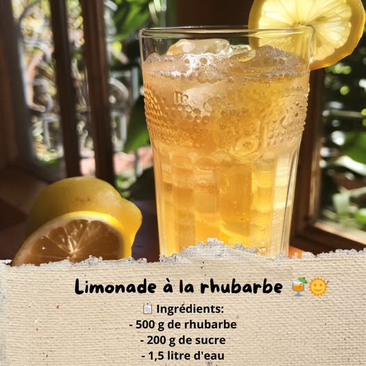 Rabarber Limonade Recept