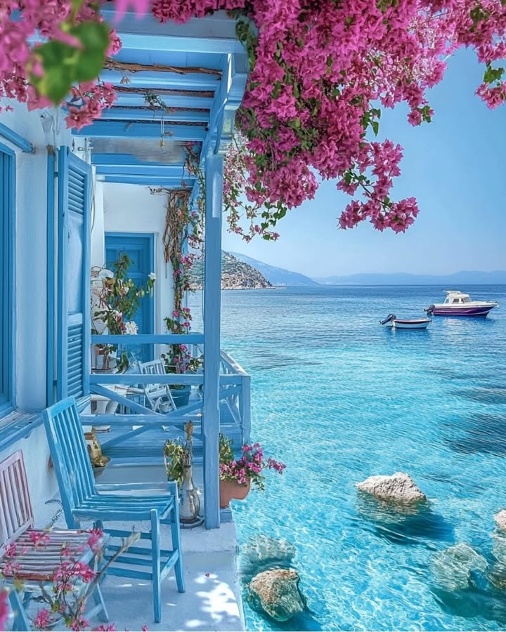 Zitten Genieten Ontspannen